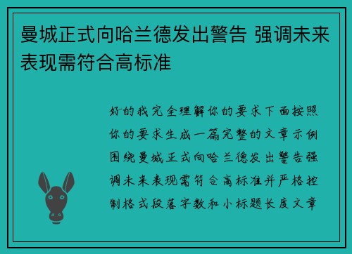 曼城正式向哈兰德发出警告 强调未来表现需符合高标准 曼城正式向哈兰德发出警告 强调未来表现需符合高标准